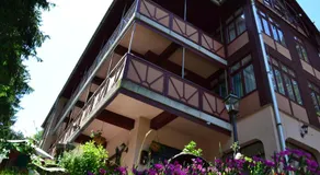 Ezüstfenyő Hotel - Image 4