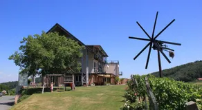 Zweytick Gästezimmer Weingut - Image 5