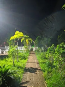 Dandeli Jungle Resort - Image 5
