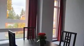 Šiluvos Svaja - Image 3