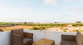 Elaaz Horse Farm - Image 4