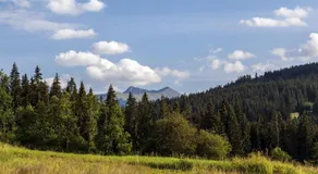 Maki Domki Regionalne - Image 4