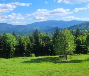 Domki na Polanie Balia pod Gwiazdami i Panorama Gór - Image 5