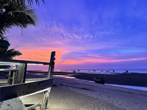 Surf and turf - Image 4