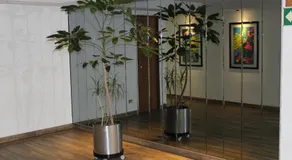 Hotel del Sur - Image 5