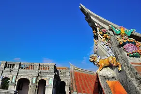 Feng Mao Lin Zhi - Image 5