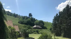 Schwarzwaldstüble - Image 5