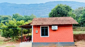 Jungle Homes - Image 2