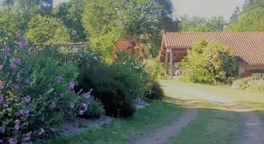 Clos de l'Arthonnet- Chambres d'hôtes avec cuisine d'été, proche Limoges - Image 5