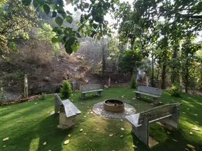 Seattle Garden - Image 5