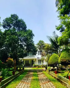 ROBUSTA FOREST -THE WHITE HOUSE - - Image 4