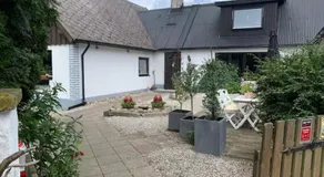 Sjörups Vera - Image 4