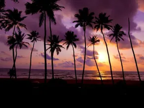 Clove Beach Wadduwa - Image 5