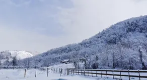 Pensiunea La Nenea Iancu - Image 5