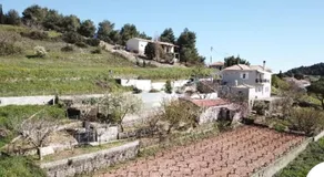 Farmhouse - Image 5