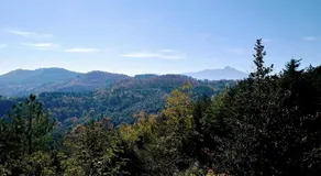 Apartaments els Pins - Sant Hilari Sacalm - Image 5