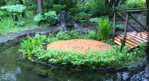 Pucón Magic forest - Image 3