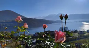 Casa Vacanza Biasi - Image 5