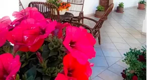 B&B LUCE - Image 4