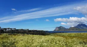 Lofoten- Enjoy the Nature-With a beautiful beach - Image 5