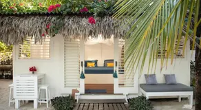 Muita Paz - Image 3