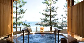 Awaji Yumesenkei - Image 2