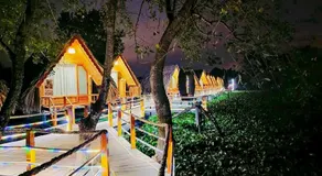 Coco Island Cồn Phụng - Image 2