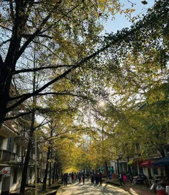 Elong Yam Hotel (Qujiang Nanhua Temple) - Image 5