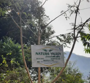 Nature valley home stay - Image 5