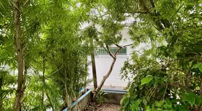 Julietta House Hotel - Image 5