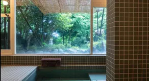HOTSPRING HOUSE IN KOWAKUDANI - Vacation STAY 14262v - Image 4
