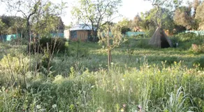 Tiny house natura - Image 2