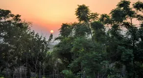 Likhyani Permaculture Farm - Image 5