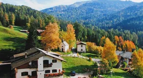 THOMASERHOF - Image 2