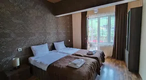Hotel Svanseti - Image 2