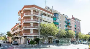 Alcam Barbera Centro - Image 3
