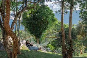 The Wild Forest Resorts - Image 4