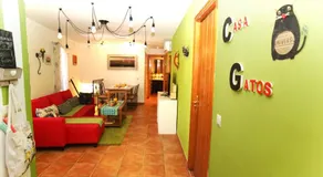 Casa Gatos - Image 3