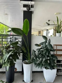 Pa & Ma Kulim Homestay Bandar Putra 4 Bedroom Family Stay - Image 4