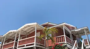 Tropical Paradise Express - Image 3