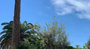 Cannes 2 pieces de 49 m2 ,piscine. Jardin privatif - Image 4