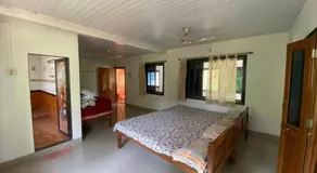 Arecapalm, Murud - Image 2