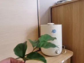 Tian Lin Hotel - Image 5
