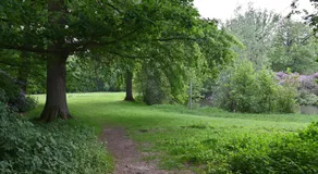 Ryckevelde - Image 5