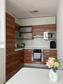 Smarty Choice Living with FREE PARKING - Vondroušova - Image 5