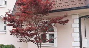 Villa Acer - Image 4
