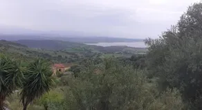 Bellavista Coghinas - Image 3