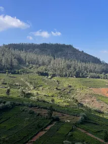 Jai’s Retreat - Image 5