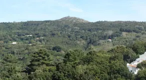 Hospedaria Descansa Pernas - Image 5