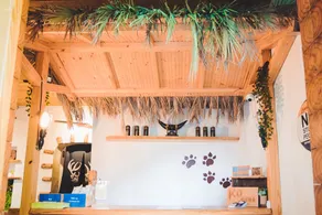 KO Hostel Kenting 返璞歸真 墾丁背包客棧 - Image 4